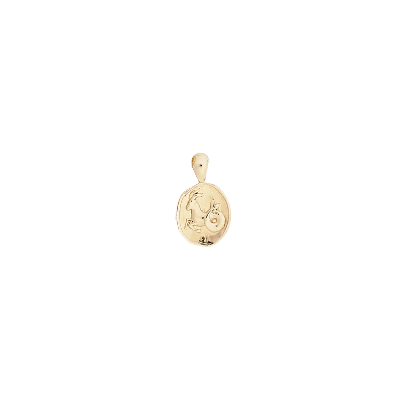 Small Zodiac II Pendant