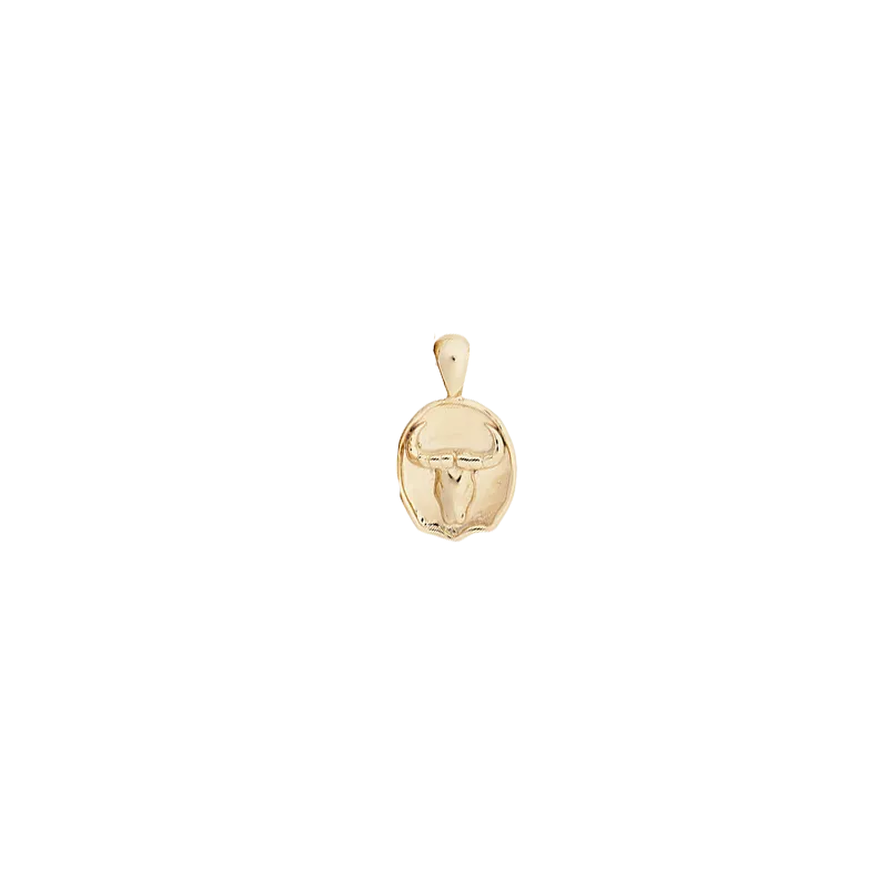 Small Zodiac II Pendant