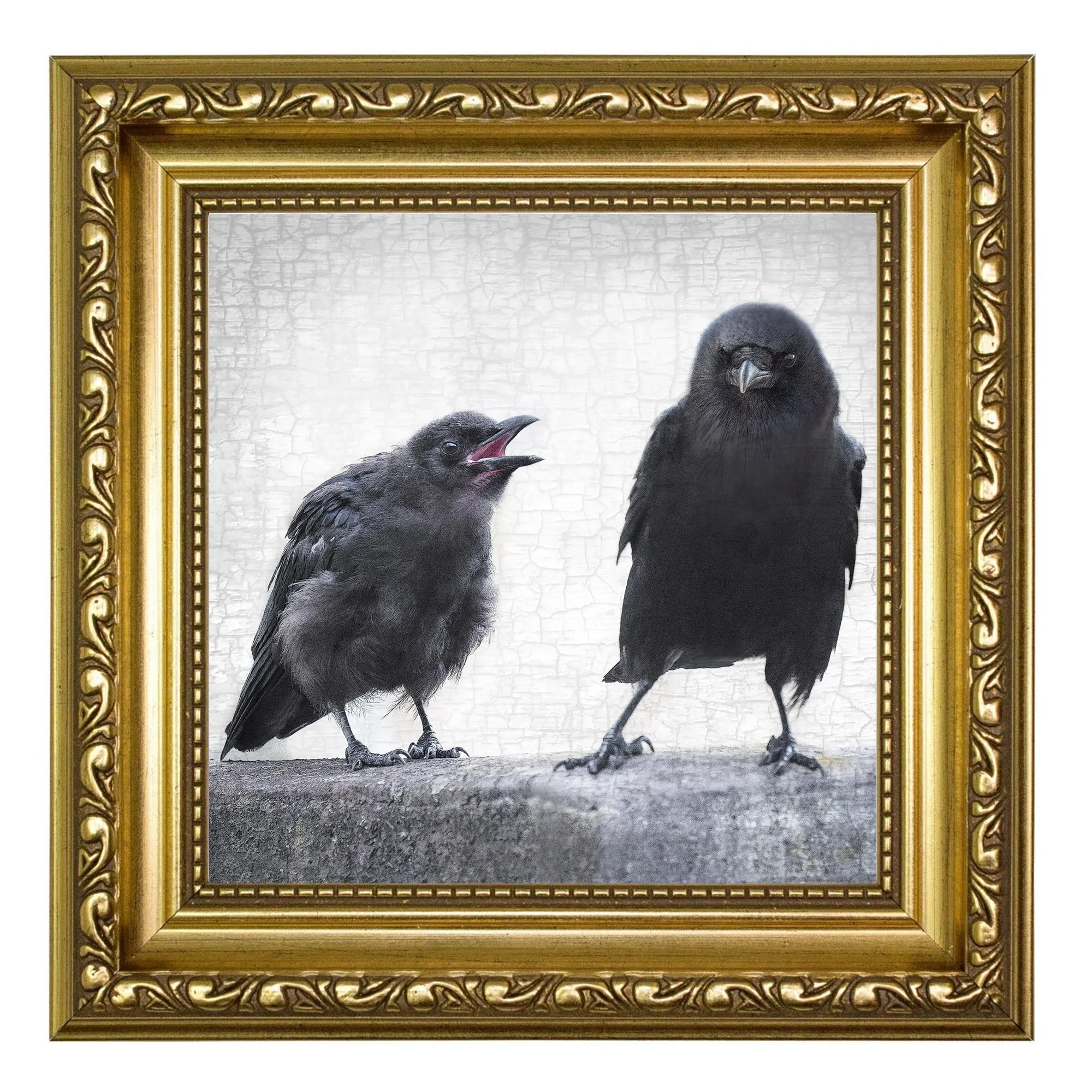 THE ART OF PARENTING - Fine Art Print, Crow Portrait Series