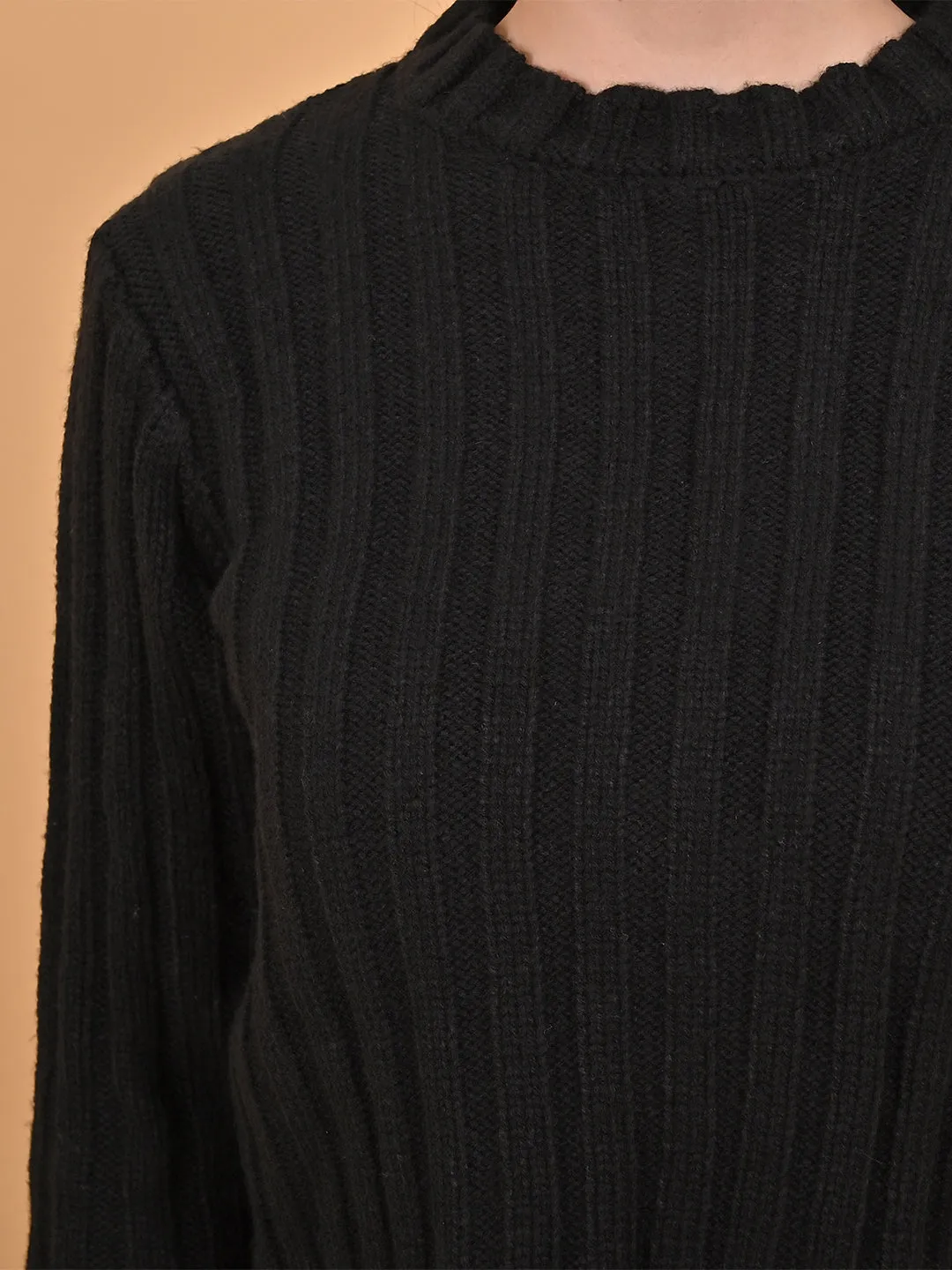 Women Black Round Neck Sweater