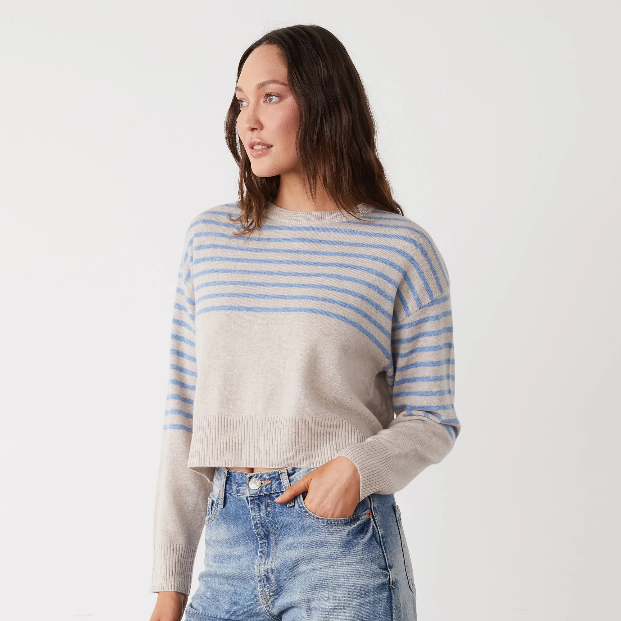 Wool Cashmere Stripe Crew Neck Sweater